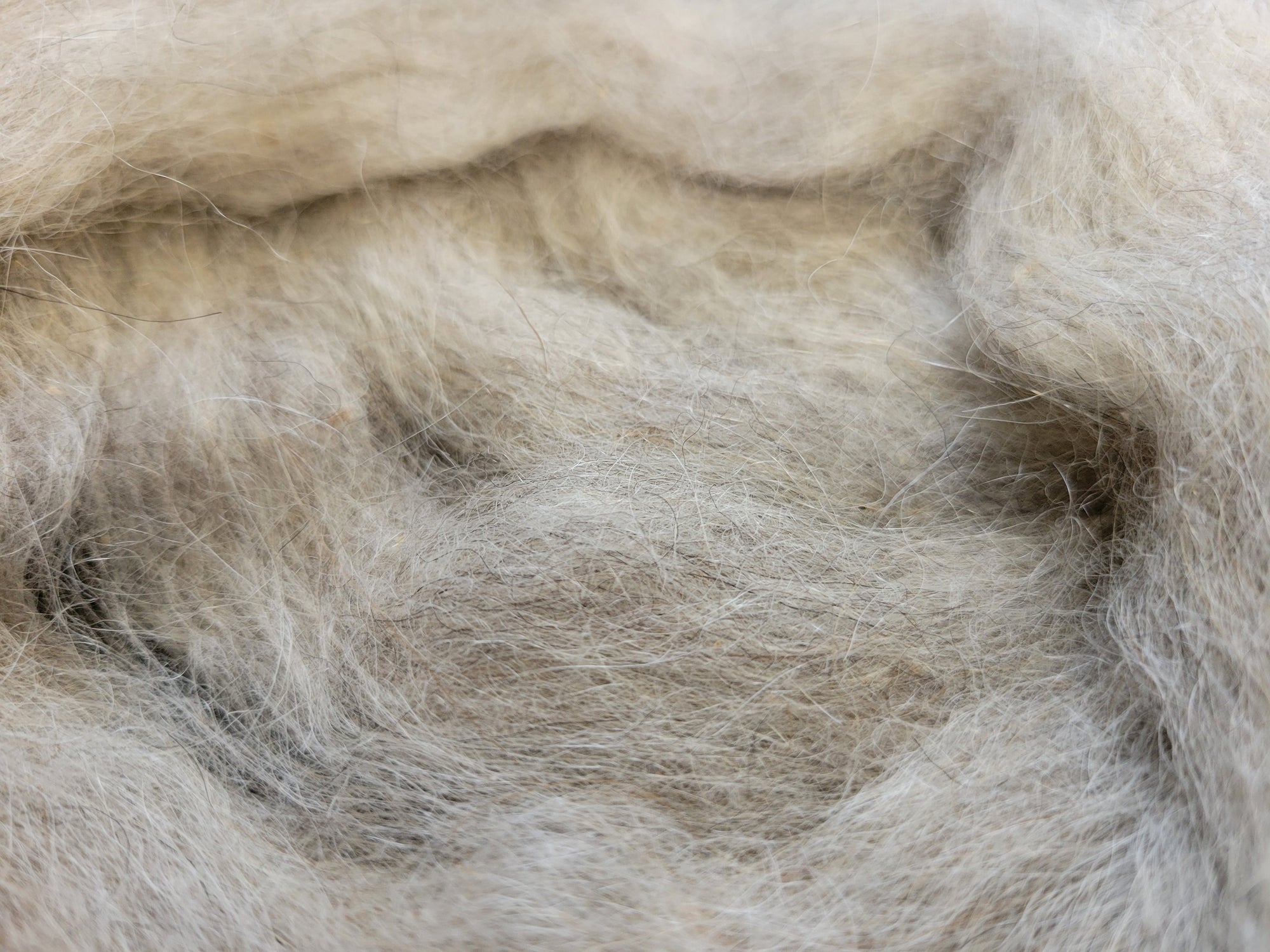 Icelandic Sheep Wool Roving