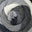 14 Good Greys