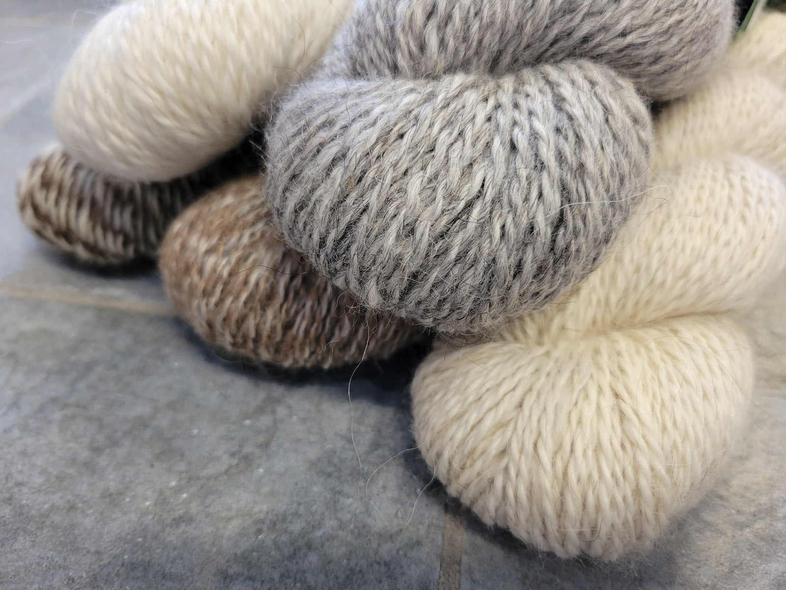 Taiga Farm and Vineyards Icelandic Sheep Wool Yarn