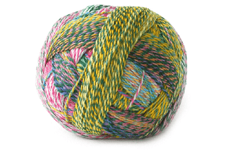 Schoppel Wolle Zauberball Crazy