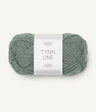 8561 Dusty Green