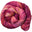 440 Impish Anemone