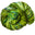 443 Blimey Limey