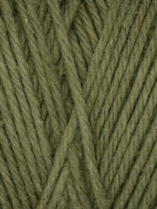 Queensland Coastal Cotton
