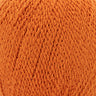 4210 Harvest Pumpkin