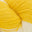 303 Lemon