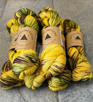 Madelinetosh Twist Light – Hue of the Moment