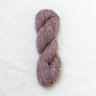 Mourning Dove