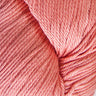 3752 Coral