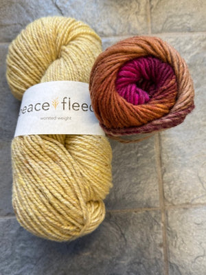 Emotional Support Chicken Kit - Yarn Harbor Version