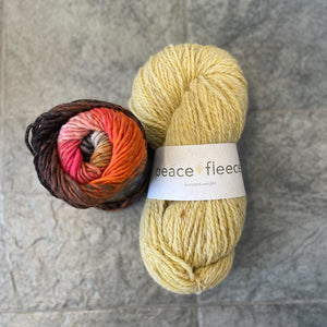 Emotional Support Chicken Kit - Yarn Harbor Version