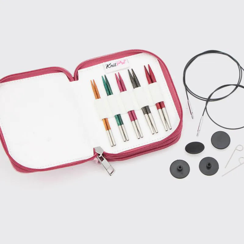 KnitPro Dreamz Starter IC 4" Needle Set