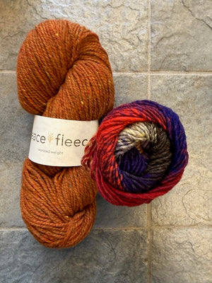 Emotional Support Chicken Kit - Yarn Harbor Version