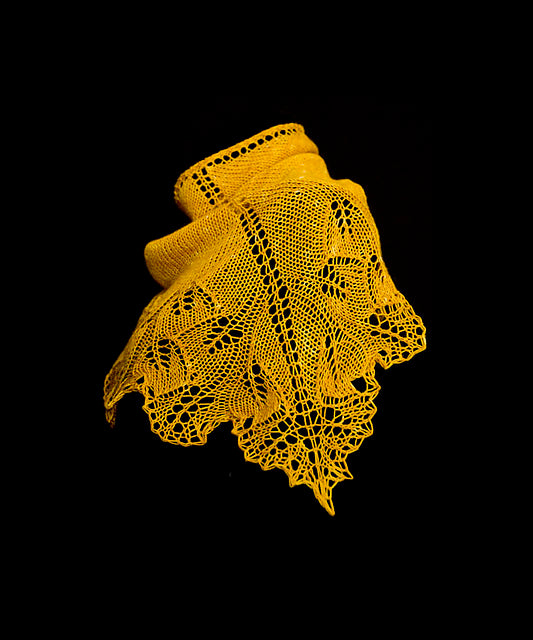 Ginkgo Shoulderette Shawl Class