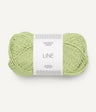 9523 Lime Punch