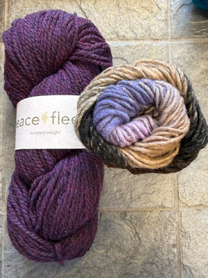 Emotional Support Chicken Kit - Yarn Harbor Version