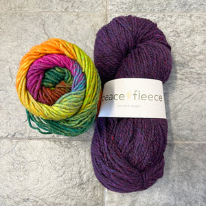 Emotional Support Chicken Kit - Yarn Harbor Version