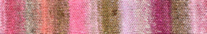 Noro Mebuki