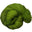 447 Unruly Moss