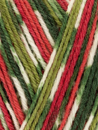 West Yorkshire Spinners Signature 4 Ply | British Sock Yarn