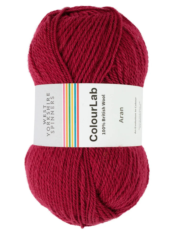 WYS Colour Lab Aran