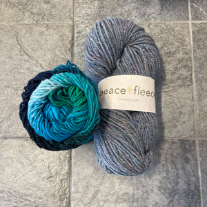 Emotional Support Chicken Kit - Yarn Harbor Version
