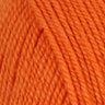 1383 Bright Orange