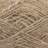 141 Camel