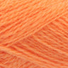 308 Tangerine