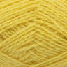 390 Daffodil Dk