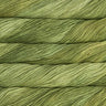 037 Lettuce
