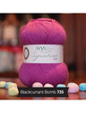 735 Blackcurrant Bomb