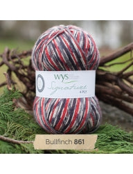 West Yorkshire Spinners Signature 4 Ply | British Sock Yarn