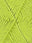1021 Chlorophyll
