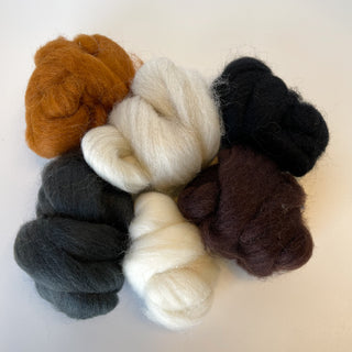 Yarn Harbor Colorful Corriedale Roving Packs
