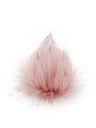 19 Rose Galah