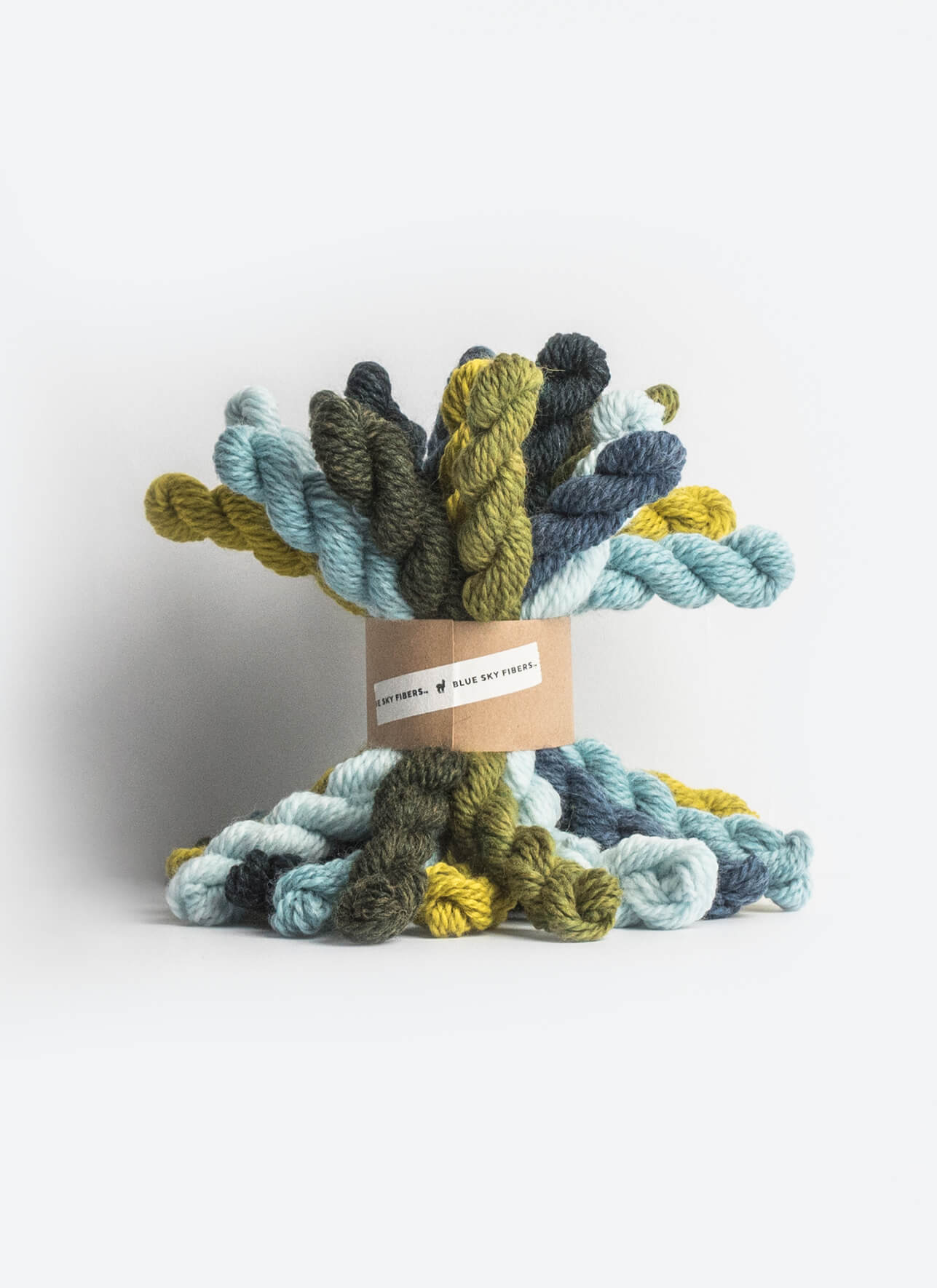 Blue Sky Fibers Woolstok Bundle Kit