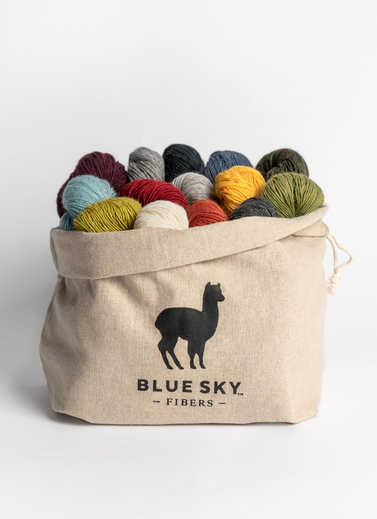 Blue Sky Fibers Woolstok Light Bundle Kit