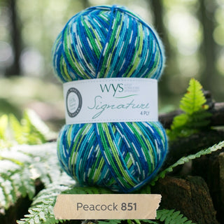 West Yorkshire Spinners Signature 4 Ply | British Sock Yarn