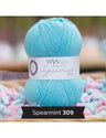 309 Speariment
