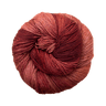 895 Dried Orange