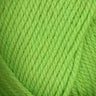 3335 Lime