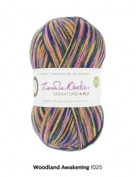 West Yorkshire Spinners Signature 4 Ply | British Sock Yarn