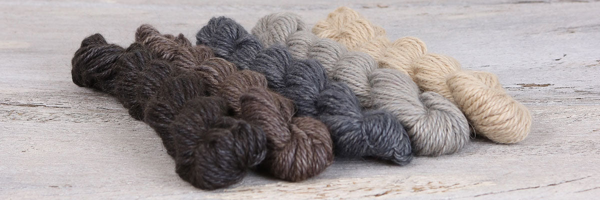 Amble Mini Skein By The Fibre Co.