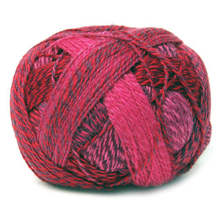 Schoppel Wolle Zauberball Crazy