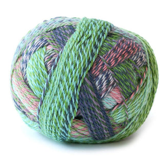 Schoppel Wolle Zauberball Crazy