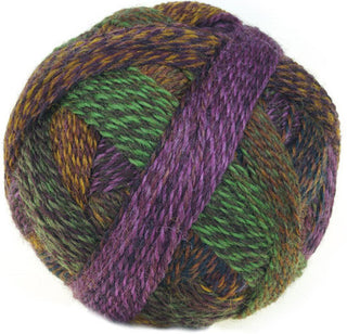 Schoppel Wolle Zauberball Crazy